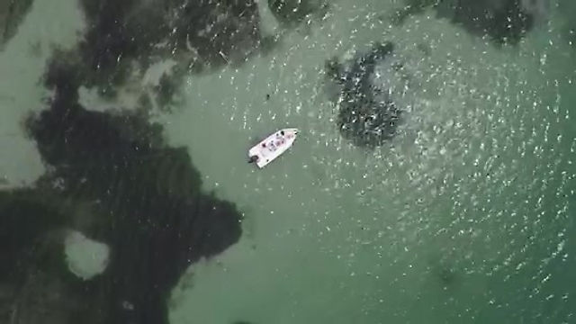 Longboat Video